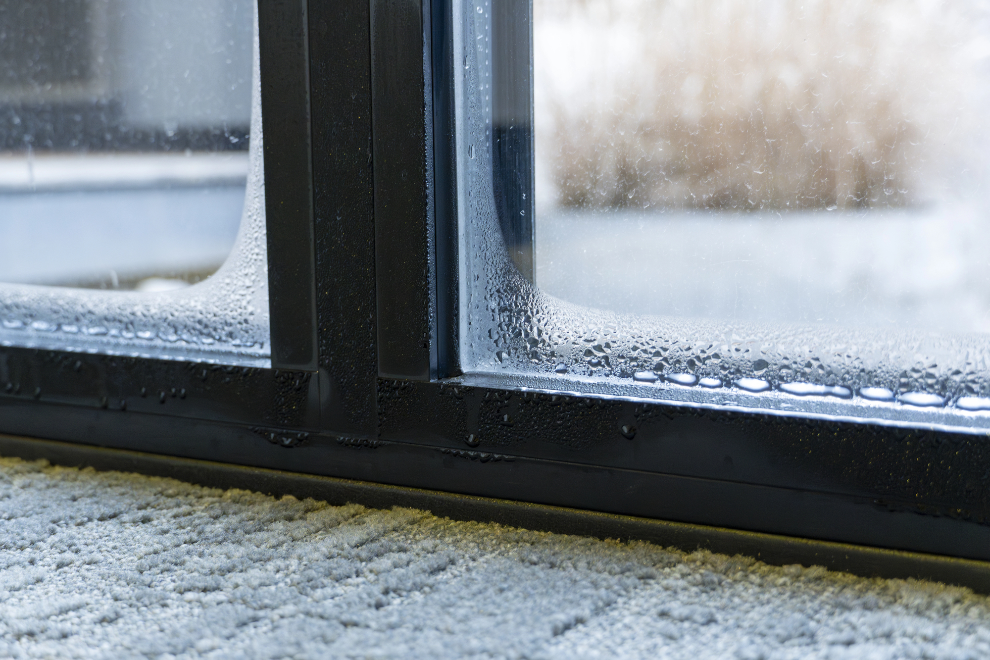 Can I Dry Out Blown Windows Myself